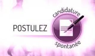 CANDIDATURE SPONTANEE